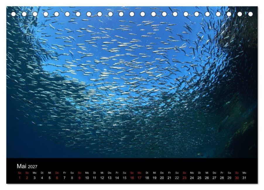 InsideView 10