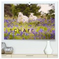 Schafe - Weich und wollig (hochwertiger Premium Wandkalender 2025 DIN A2 quer), Kunstdruck in Hochglanz - Lain Jackson
