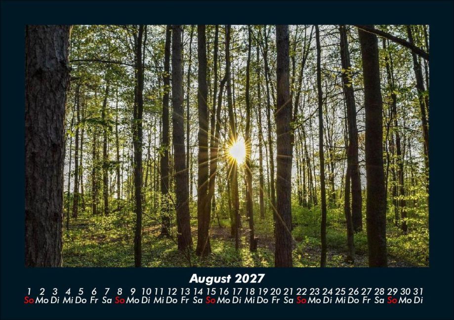 InsideView 12