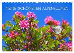 Meine schönsten Alpenblumen (Wandkalender 2026 DIN A3 quer), CALVENDO Monatskalender - Christa Kramer