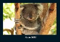 Koala 2023 Fotokalender DIN A4 - Tobias Becker