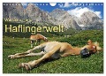 Wunderschöne Haflingerwelt (Wandkalender 2024 DIN A4 quer), CALVENDO Monatskalender - Michael Rucker