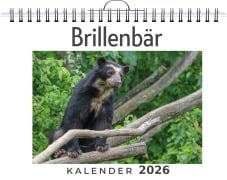 Cover-Bild zum Titel 'Brillenbär' von 'Emma Fuchs'