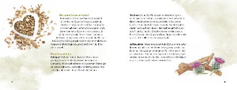 InsideView 8