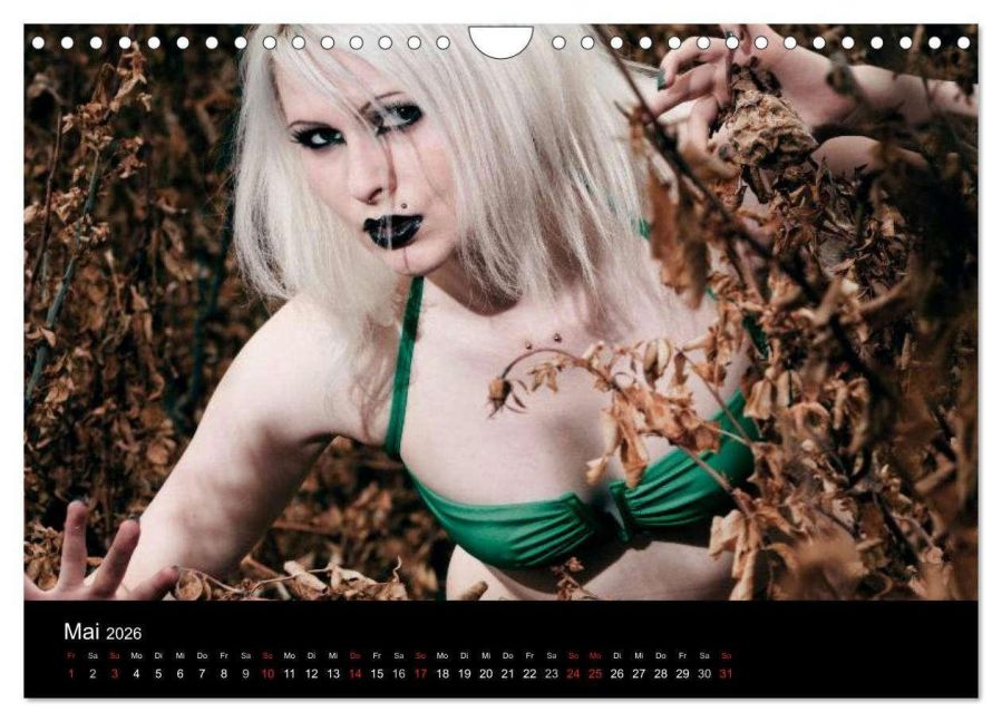 InsideView 10