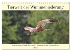 Cover-Bild zum Titel 'Tierwelt der Wümmeniederung (Wandkalender 2026 DIN A4 quer), CALVENDO Monatskalender' von 'Jens Siebert'