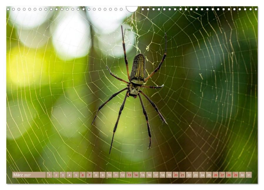 InsideView 8