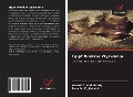 Cover-Bild zum Titel 'Egipt Wielkie Wyzwania' von 'Yousef A. Abd Elrady, Rana M. El_Tabakh'