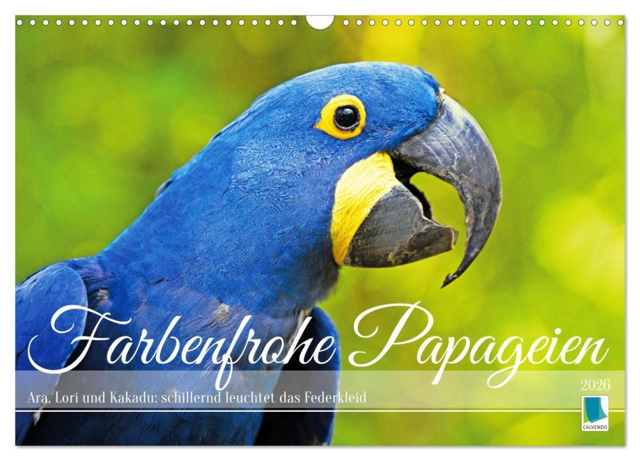 Farbenfrohe Papageien (Wandkalender 2026 DIN A3 quer), CALVENDO Monatskalender - Calvendo Calvendo