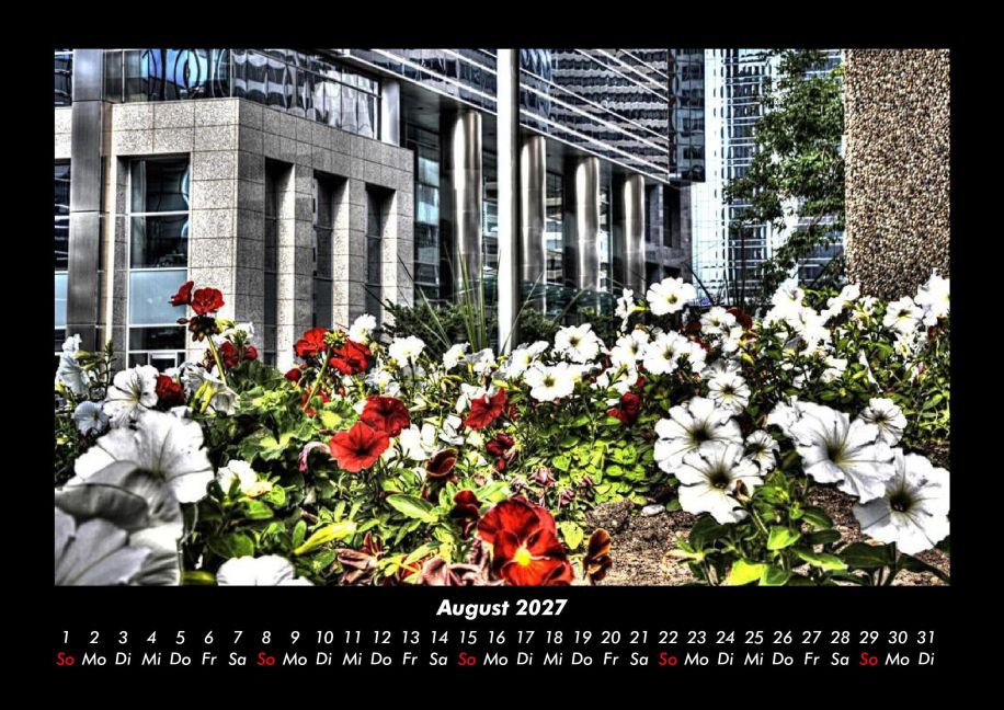 InsideView 12