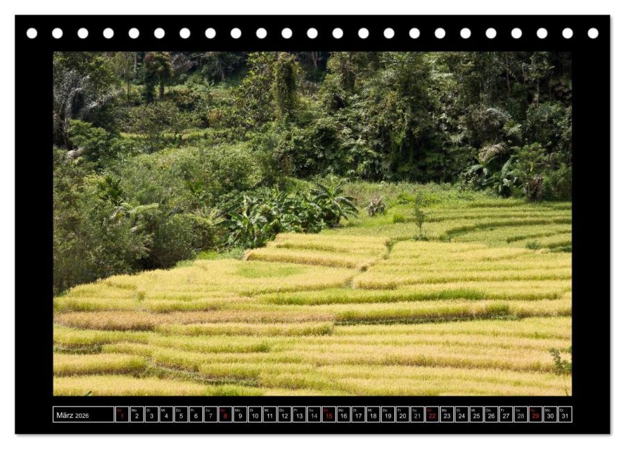 InsideView 8