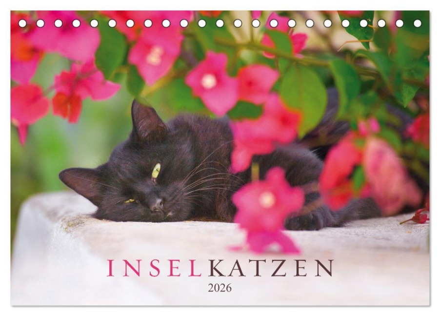 Inselkatzen (Tischkalender 2026 DIN A5 quer), CALVENDO Monatskalender - Christina Krutz