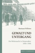 Cover-Bild zum Titel 'Gewalt und Untergang' von 'Bastiaan Willems'