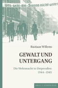 Cover-Bild zum Titel 'Gewalt und Untergang' von 'Bastiaan Willems'