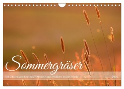 Cover-Bild zum Titel 'Sommergräser (Wandkalender 2026 DIN A4 quer), CALVENDO Monatskalender' von 'Daniela Tapper'