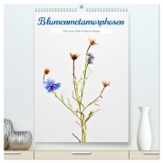 Blumenmetamorphosen (hochwertiger Premium Wandkalender 2026 DIN A2 hoch), Kunstdruck in Hochglanz - Clemens Stenner
