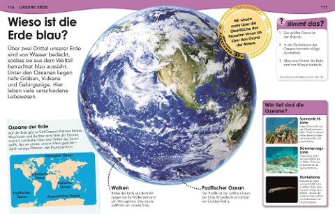 InsideView 8