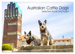 Cover-Bild zum Titel 'Australian Cattle Dogs zwischen Kunst und Kultur (Wandkalender 2026 DIN A2 quer), CALVENDO Monatskalender' von 'Fotodesign Verena Scholze'