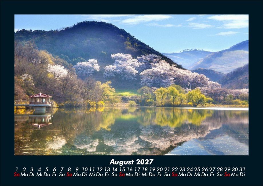 InsideView 12