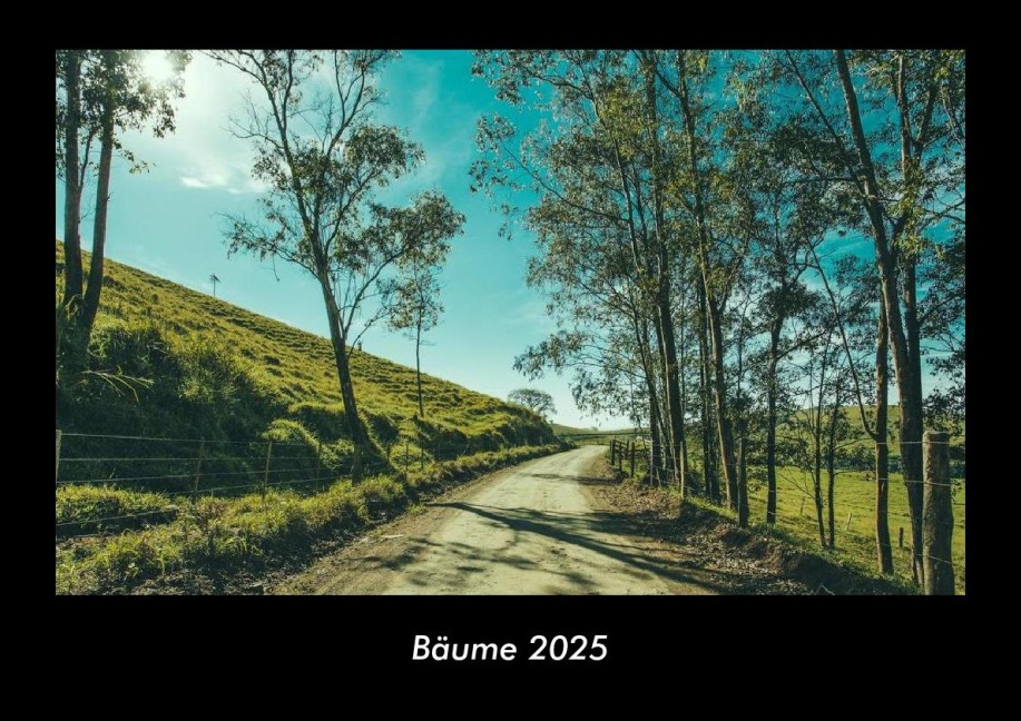 Bäume 2025 Fotokalender DIN A3 - Tobias Becker