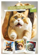 Cover-Bild zum Titel 'Jetzt ist die Katze aus dem Sack! Katzenspaß vom Feinsten! (Wandkalender 2026 DIN A3 hoch), CALVENDO Monatskalender' von 'Rose Hurley'