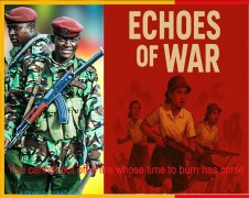 Cover-Bild zum Titel 'Echoes of War' von 'Anika Serikali'