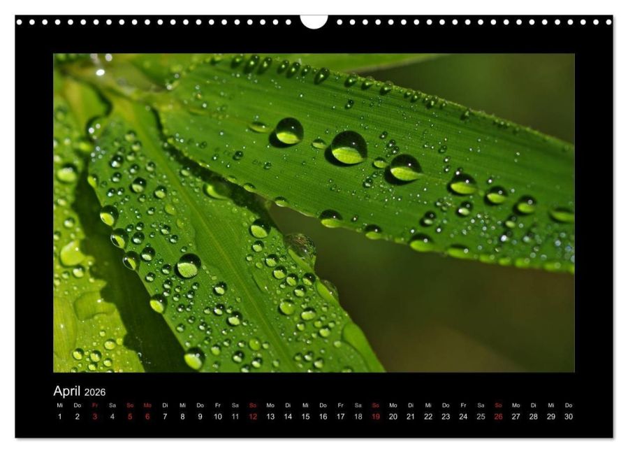 InsideView 9