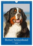 Cover-Bild zum Titel 'Berner Sennenhund - stark , schön und liebenswert (Wandkalender 2026 DIN A4 hoch), CALVENDO Monatskalender' von 'Sigrid Starick'