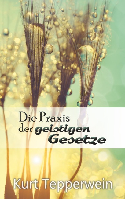 Die Praxis der geistigen Gesetze - Kurt Tepperwein