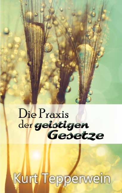 Die Praxis der geistigen Gesetze - Kurt Tepperwein