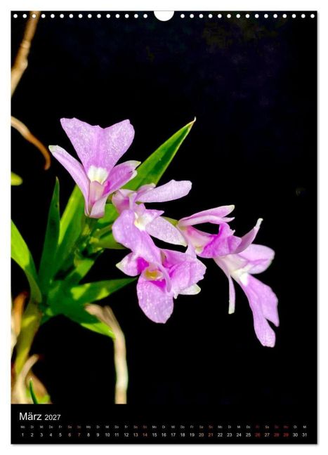 InsideView 8