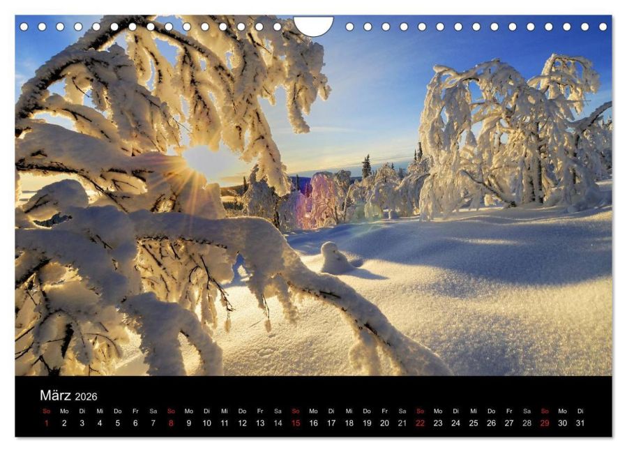 InsideView 8