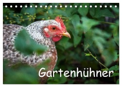 Cover-Bild zum Titel 'Gartenhühner (Tischkalender 2026 DIN A5 quer), CALVENDO Monatskalender' von 'Britta Ohm'