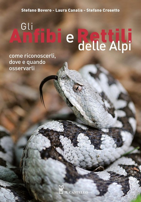 Gli anfibi e rettili delle Alpi. Come riconoscerli, dove e quando osservarli - Stefano Bovero, Laura Canalis, Stefano Crosetto