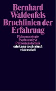 Cover-Bild zum Titel 'Bruchlinien der Erfahrung' von 'Bernhard Waldenfels'