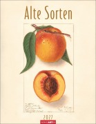 Cover-Bild zum Titel 'Alte Sorten Kalender 2027' von ''