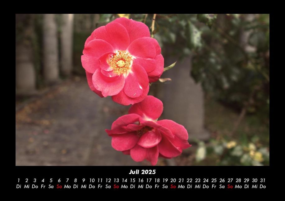 InsideView 11