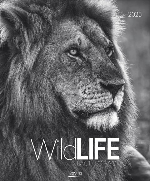 WildLife 2025 - 