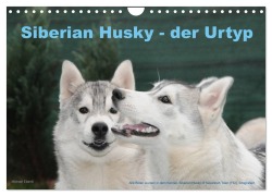 Cover-Bild zum Titel 'Siberian Husky - der Urtyp (Wandkalender 2026 DIN A4 quer), CALVENDO Monatskalender' von 'Michael Ebardt'