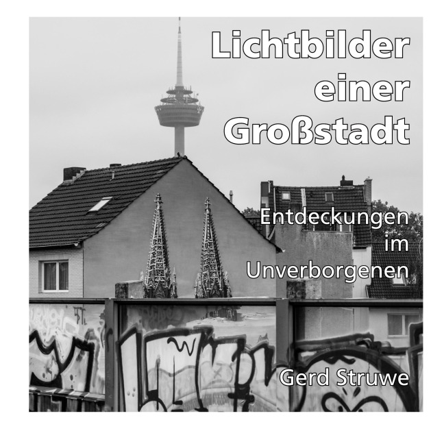 Lichtbilder einer Großstadt - Gerd Struwe