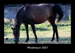 Cover-Bild zum Titel 'Pferdetraum 2027 Fotokalender DIN A3' von 'Tobias Becker'