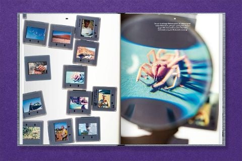 InsideView 15