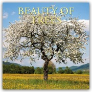 Beauty of Trees - Die Schönheit der Bäume 2026 - 16-Monatskalender - Gifted Stationery Co. Ltd