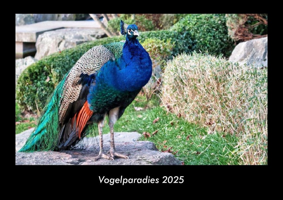 Vogelparadies 2025 Fotokalender DIN A3 - Tobias Becker
