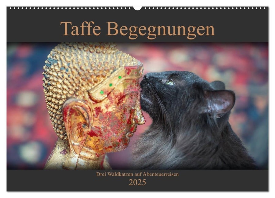 Taffe Begegnungen-Drei Waldkatzen auf Abenteuerreisen (Wandkalender 2025 DIN A2 quer), CALVENDO Monatskalender - Viktor Gross