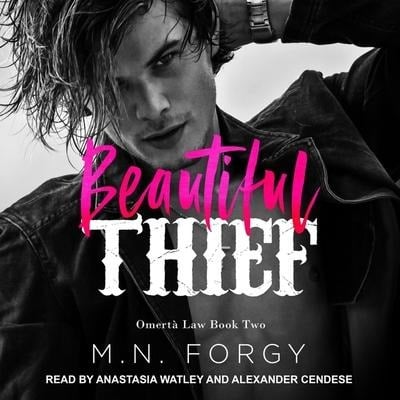 Beautiful Thief - M. N. Forgy