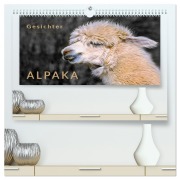 Cover-Bild zum Titel 'Alpaka Gesichter (hochwertiger Premium Wandkalender 2026 DIN A2 quer), Kunstdruck in Hochglanz' von 'Peter Roder'