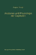 Anatomie und Physiologie der Capillaren - August Krogh