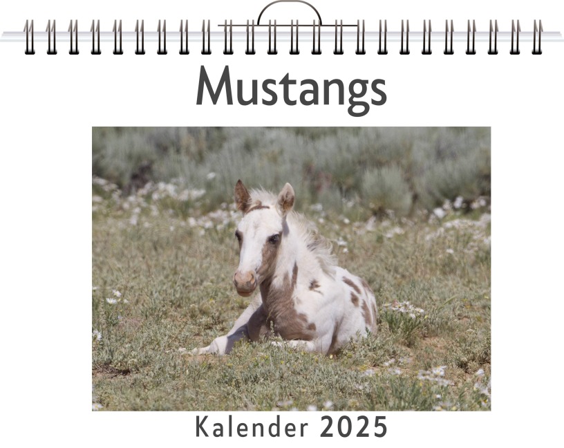 Mustangs - Oliver Meier