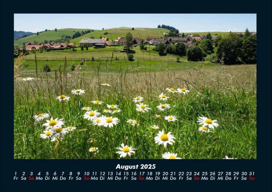InsideView 12